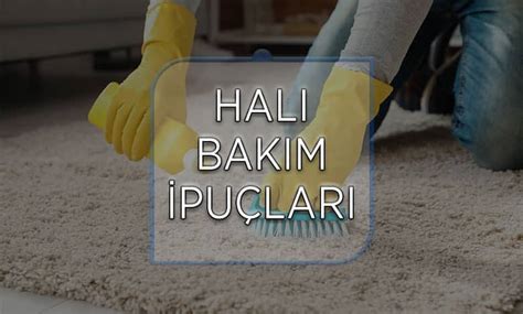 Halı Yıkama Sonrası Bakım İpuçları