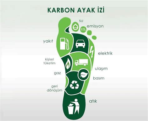 Karbon Ayak İzi: Etkin Temizlik Yöntemleri