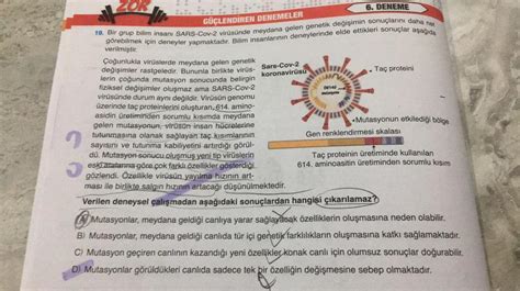 Zor Erişilen Yerlerin Temizlik Sonuçlarını Değerlendirme